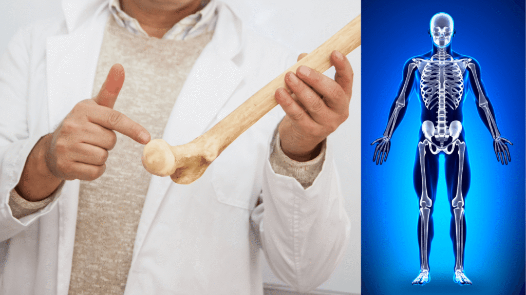Support bone health with this striking image featuring a professional holding a large bone while pointing to it, paired with a glowing human skeleton illustration. This visual highlights the importance of strong bones and their role in overall well-being.