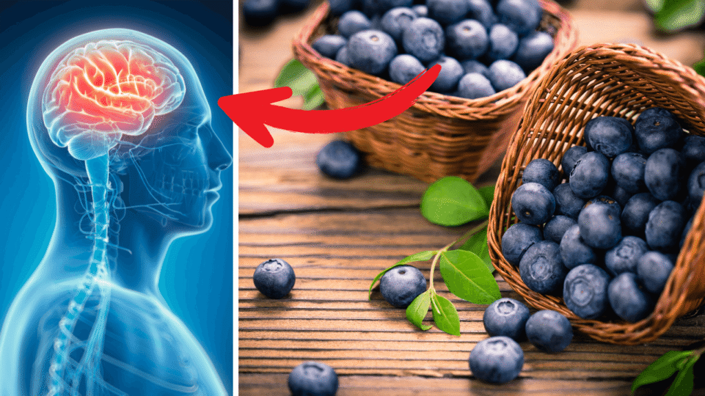 Benefits of blueberries shine in this image, showing a vibrant brain illustration linked to baskets of fresh blueberries. The visual highlights how these berries support brain health, with a clear connection between the fruit and cognitive wellness.